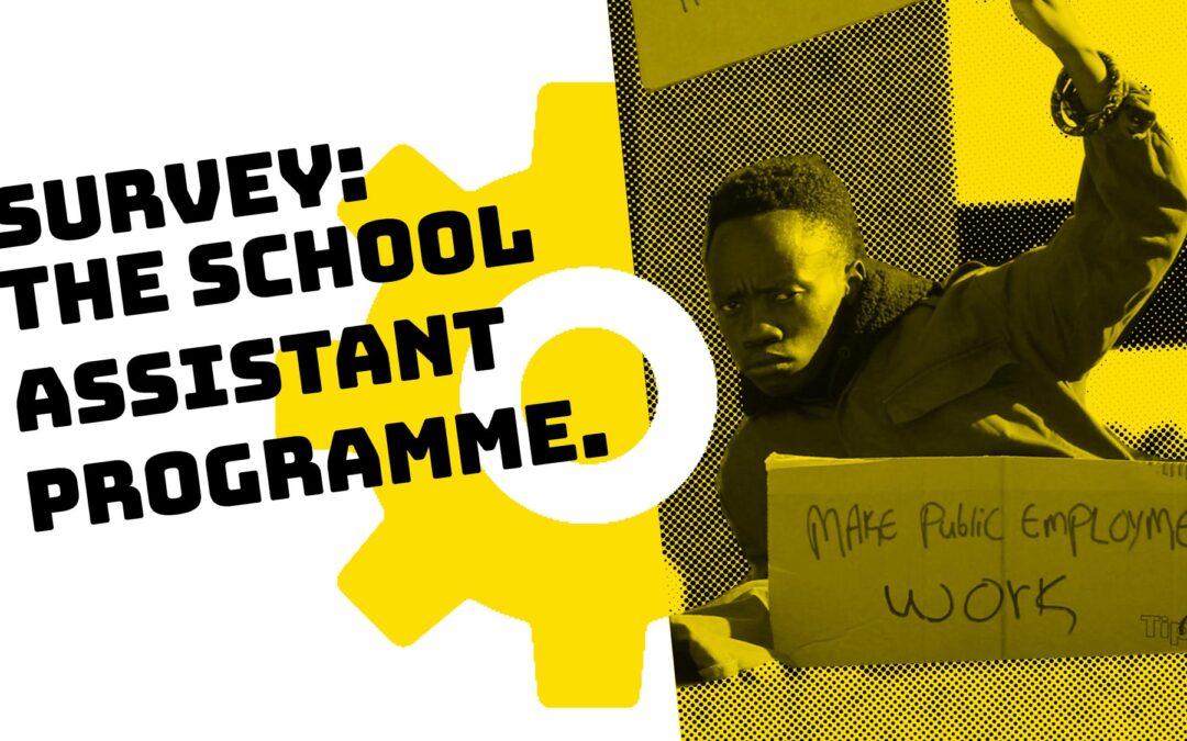 Survey: The School Assistant Programme.