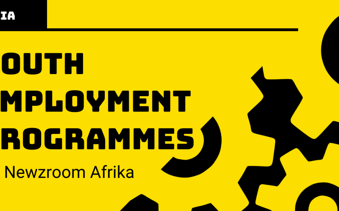 NEWZROOM AFRIKA|  DISCUSSING YOUTH UNEMPLOYMENT WITH YOUTH EMPLOYMENT SERVICE